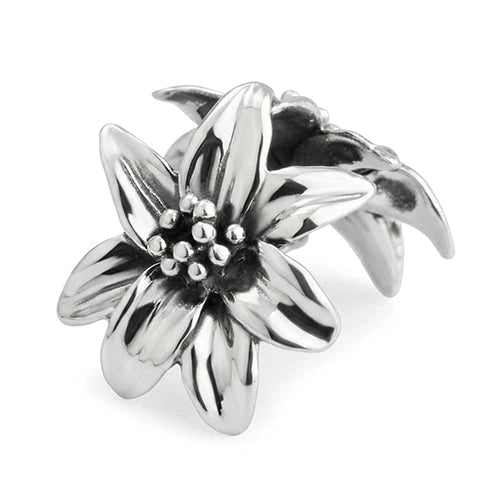 OHMnique - BEADMAIL NO. 66 Motherflower